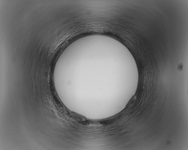 X0000116020595200912111354