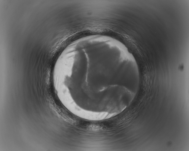 X0000116020596200912111354