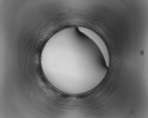 X0000116020597200912111354