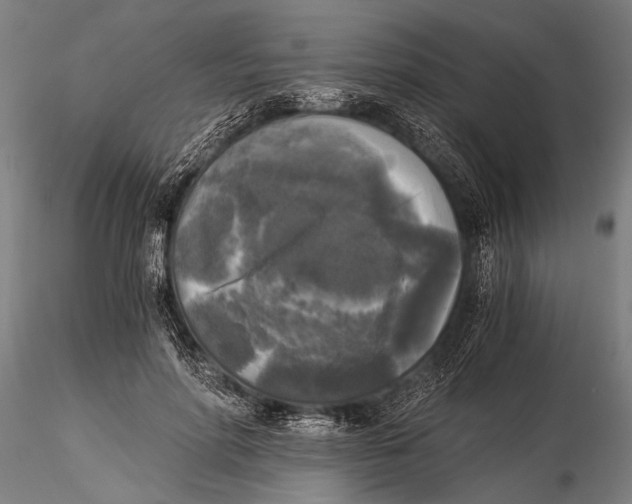 X0000116020598200912111354