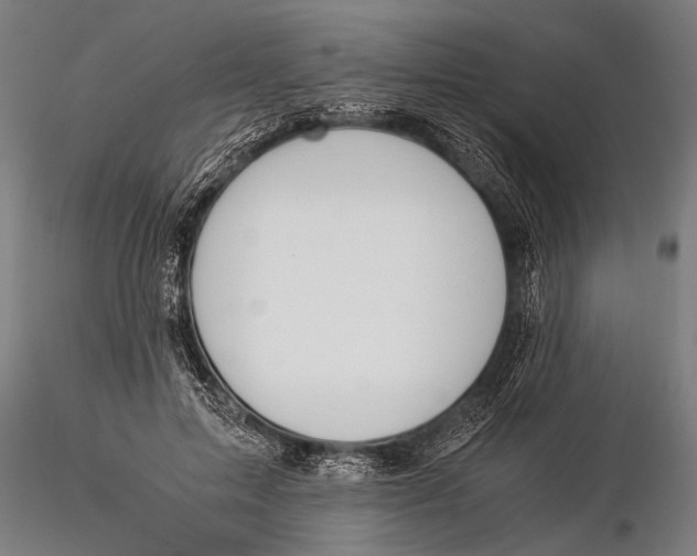 X0000116020599200912111354