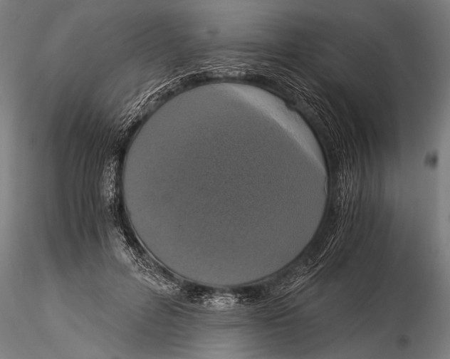 X0000116020600200912111354