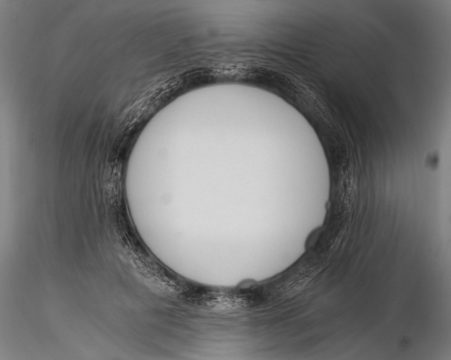 X0000116020601200912111354