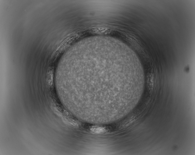 X0000116020602200912111354