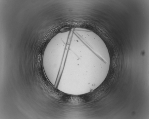 X0000116020605200912111354