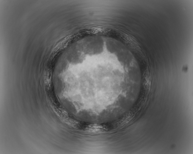 X0000116020607200912111353