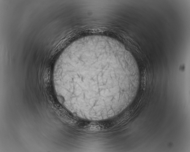 X0000116020608200912111353