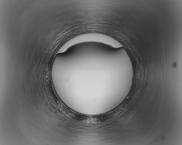 X0000116020609200912111353