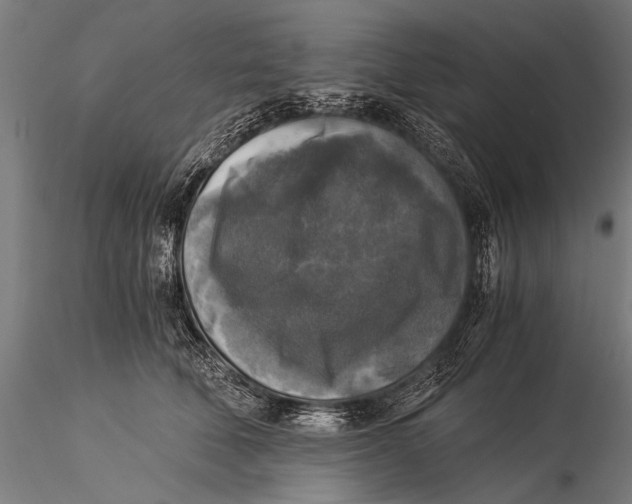 X0000116020610200912111353