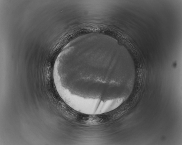 X0000116020612200912111353