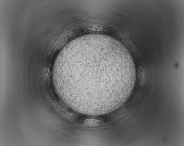 X0000116020614200912111353