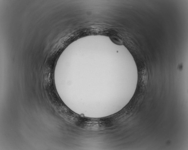 X0000116020615200912111353