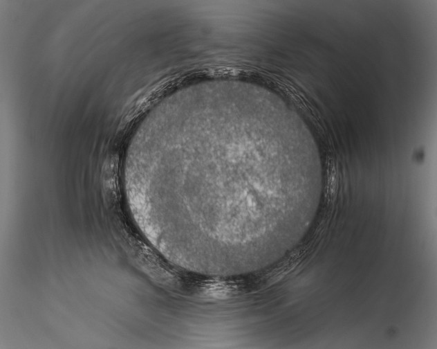 X0000116020616200912111353