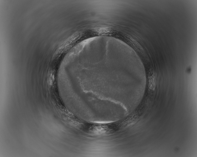 X0000116020618200912111353