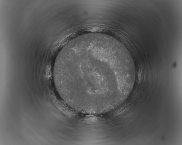 X0000116020620200912111353