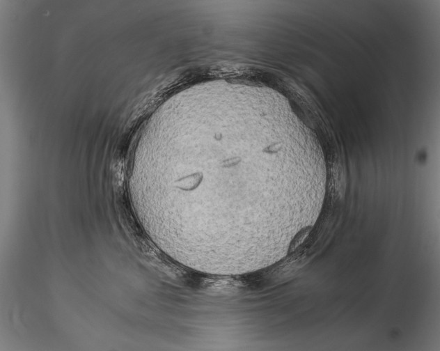 X0000116020621200912111353