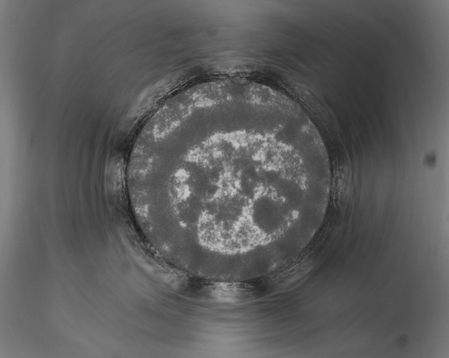 X0000116020623200912111353