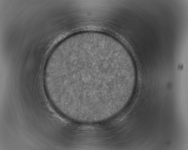 X0000116020625200912111352