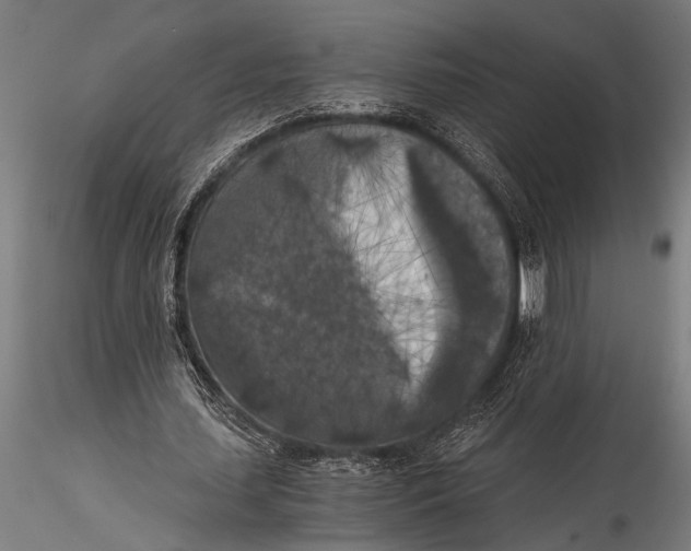 X0000116020627200912111352