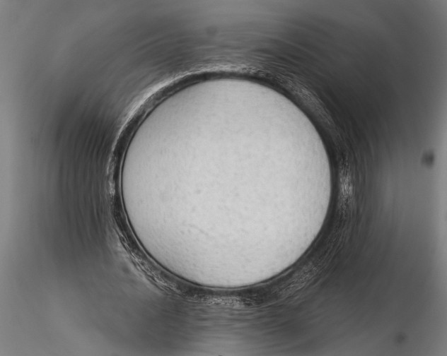 X0000116020628200912111352