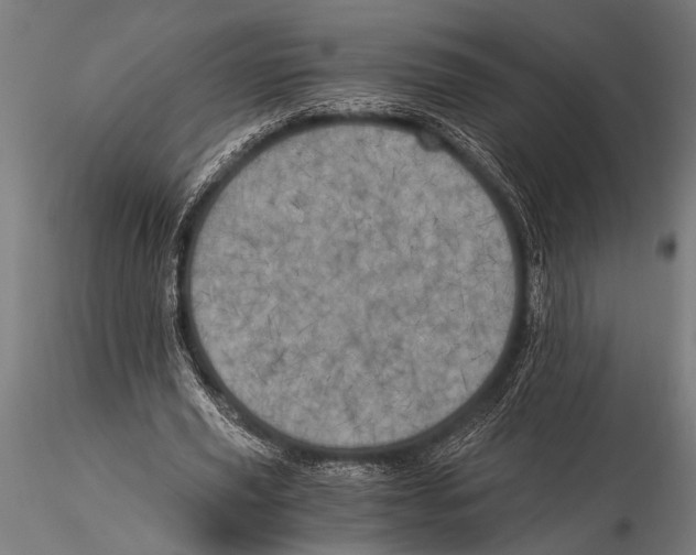 X0000116020629200912111352