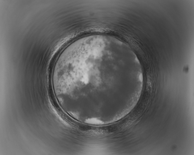 X0000116020630200912111352