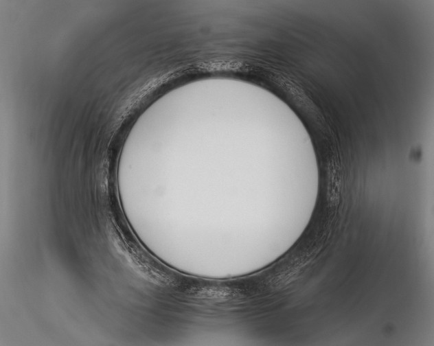 X0000116020631200912111353