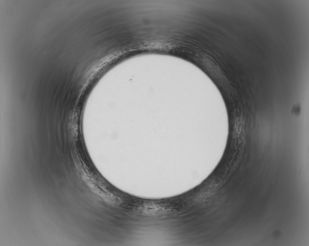 X0000116020632200912111353