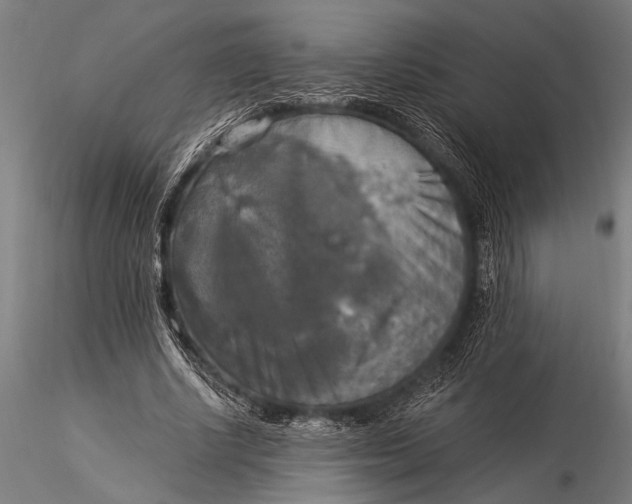 X0000116020634200912111353