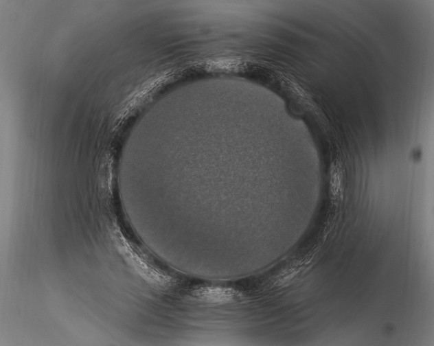 X0000116020637200912111353