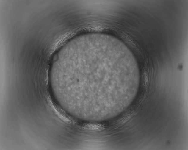 X0000116020638200912111353