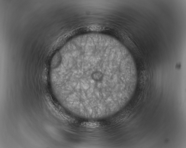 X0000116020639200912111353