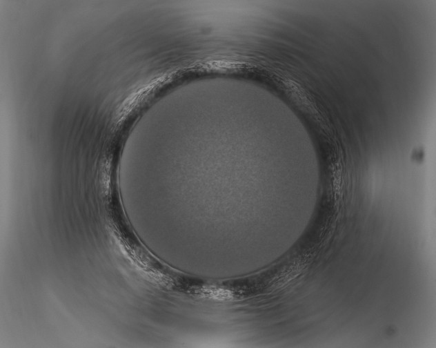 X0000116020640200912111353