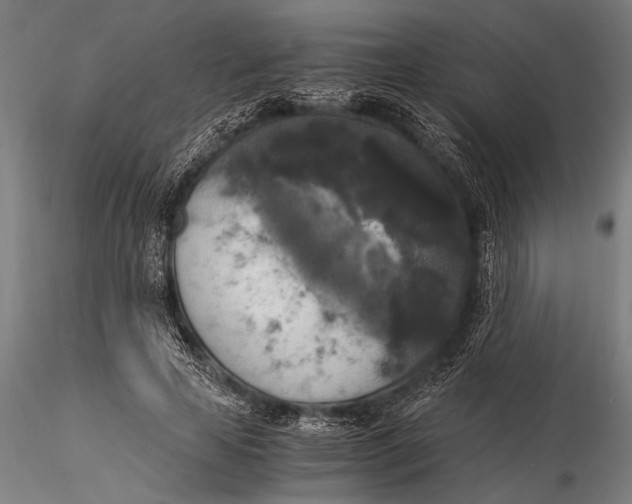 X0000116020641200912111353