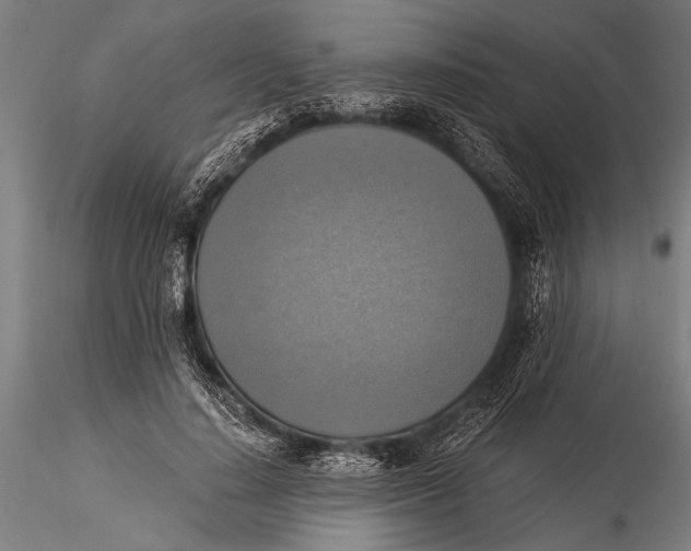 X0000116020644200912111353