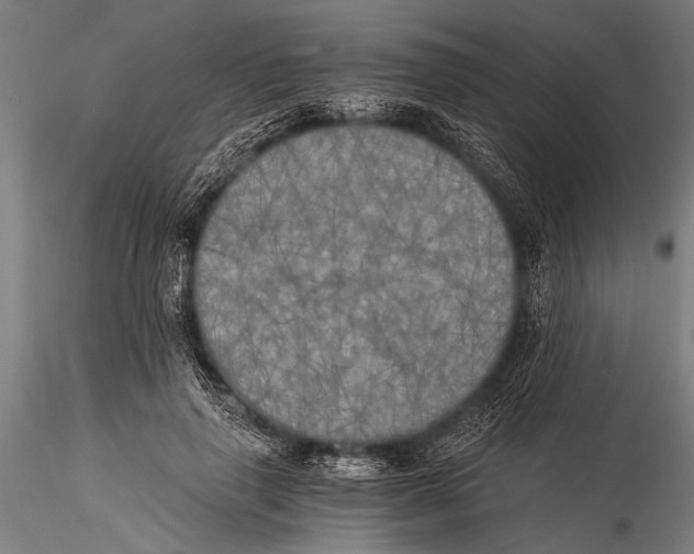 X0000116020645200912111353