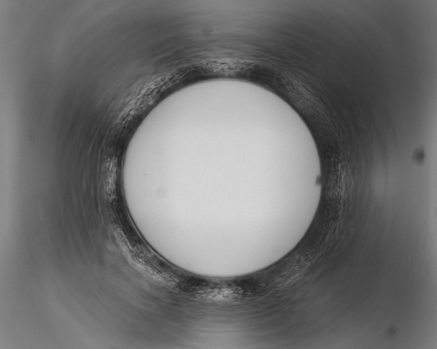 X0000116020646200912111353