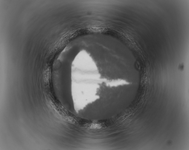 X0000116020647200912111353