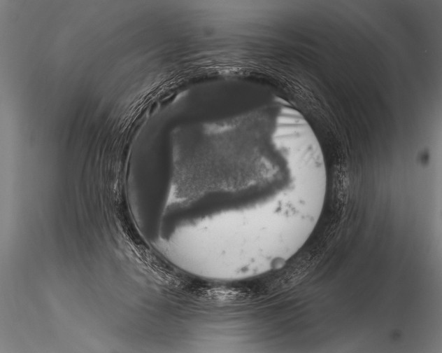 X0000116020650200912111353