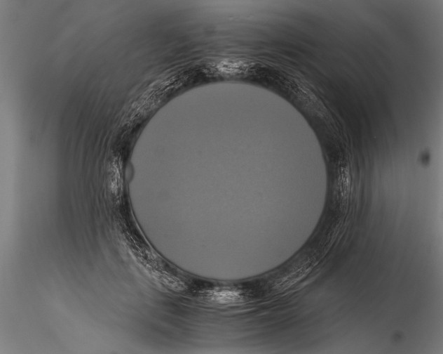 X0000116020651200912111353