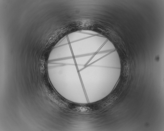 X0000116020654200912111353