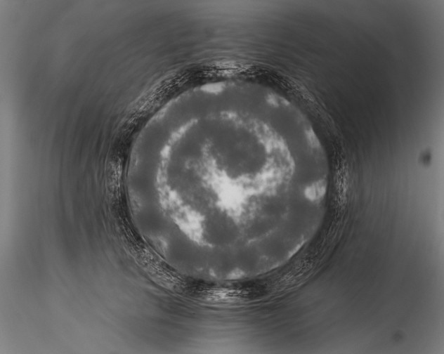 X0000116020657200912111353