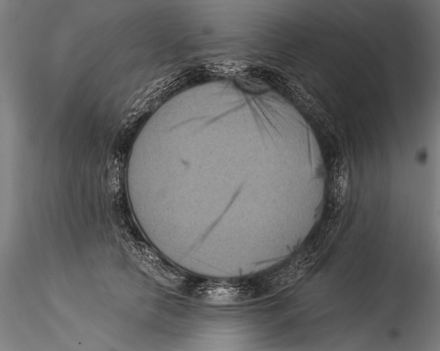 X0000116020658200912111353