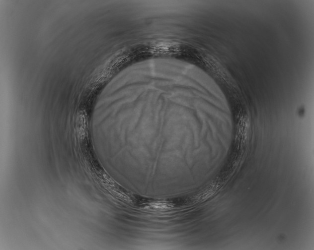 X0000116020659200912111353