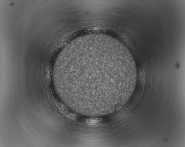 X0000116020662200912111353