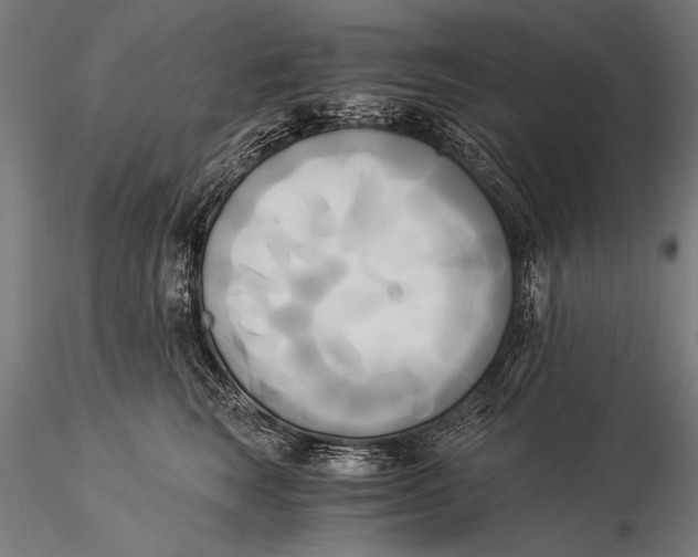 X0000116020663200912111353