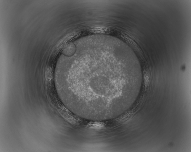 X0000116020665200912111353