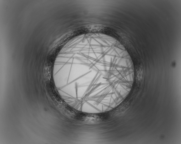 X0000116020666200912111353