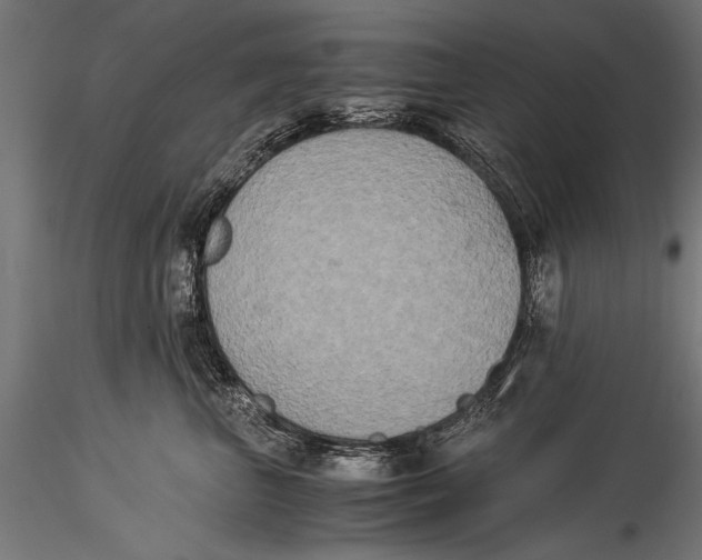 X0000116020667200912111353