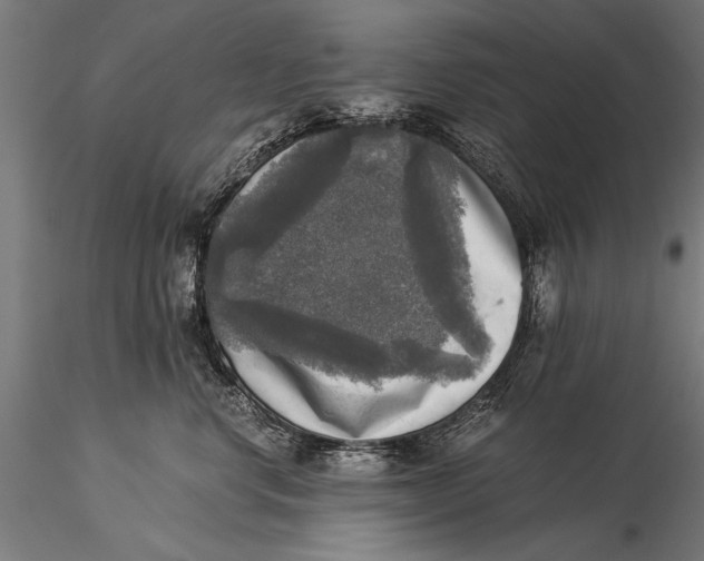 X0000116020668200912111353